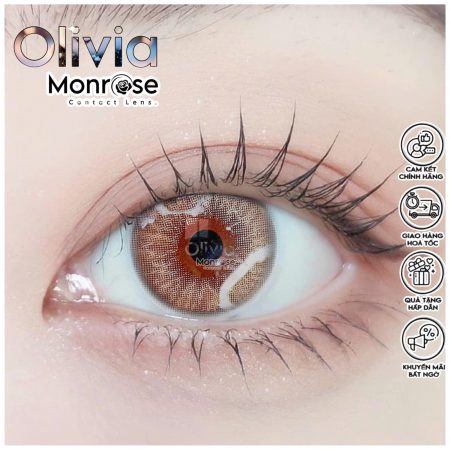 PPLeye Rust Brown - 3 months